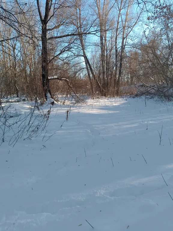 Большой дом с камином и новой баней