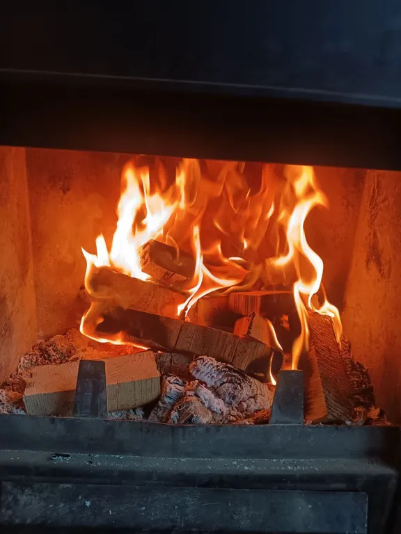 Уютный дом, тишина и лес