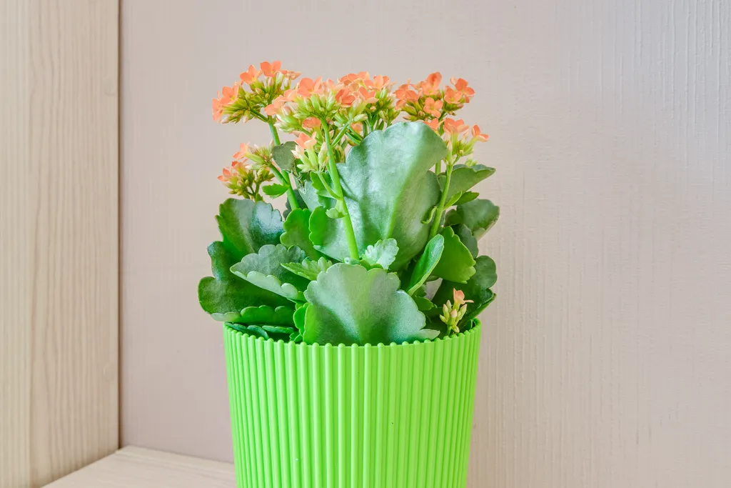 Квартира Квартира Студия для трех человек у Вокзала — Санкт-Петербург