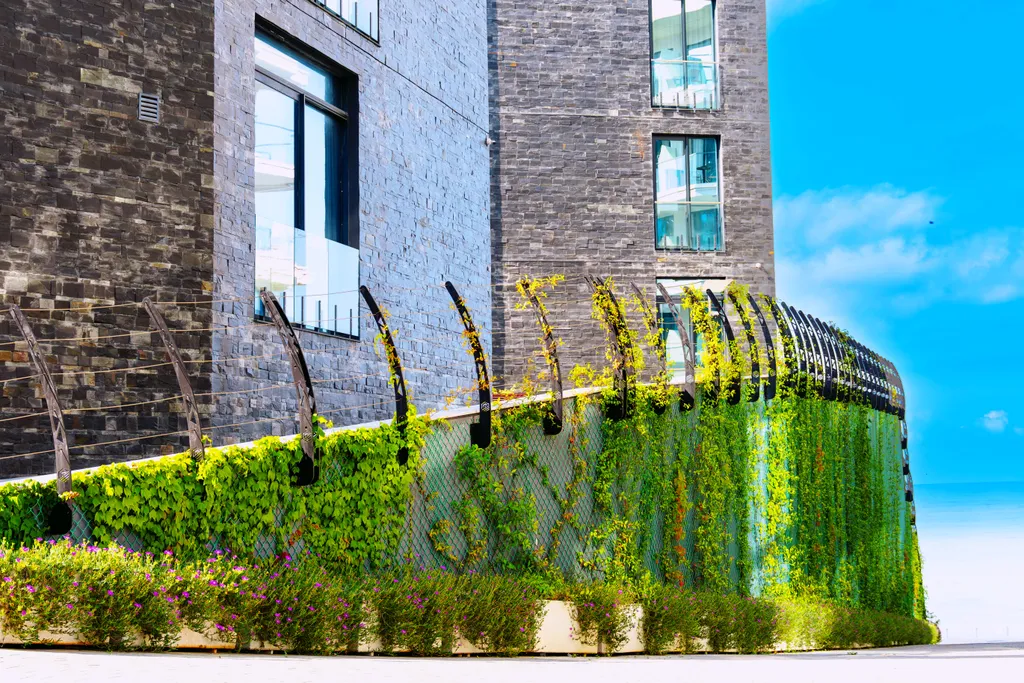 Лазурные апартаменты на берегу моря в отеле Лучезарный Резорт 4