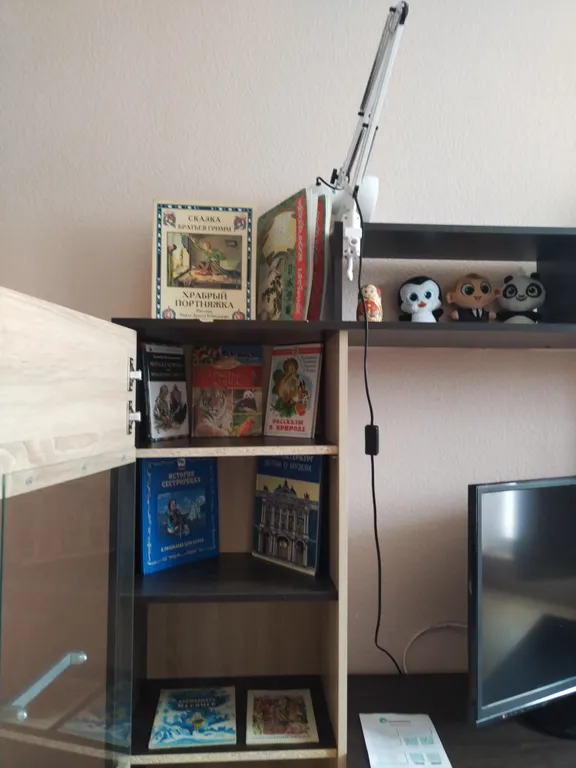 Уютная квартира у озера Разлив с лесопарком