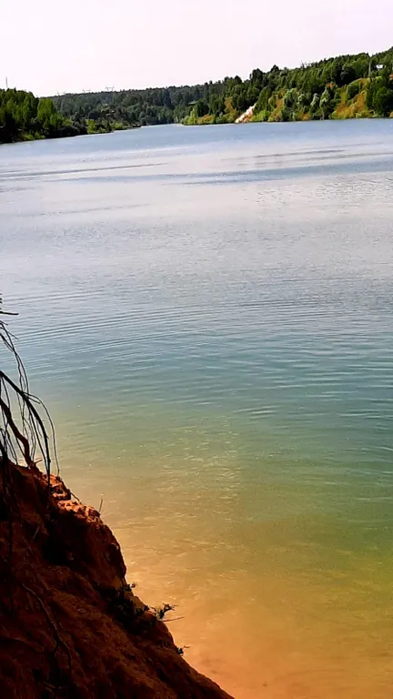 Уютный домик в березовой роще