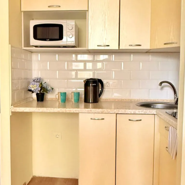 Уютная студия в Сколково