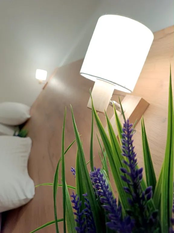 Трехместный номер с выходом во двор