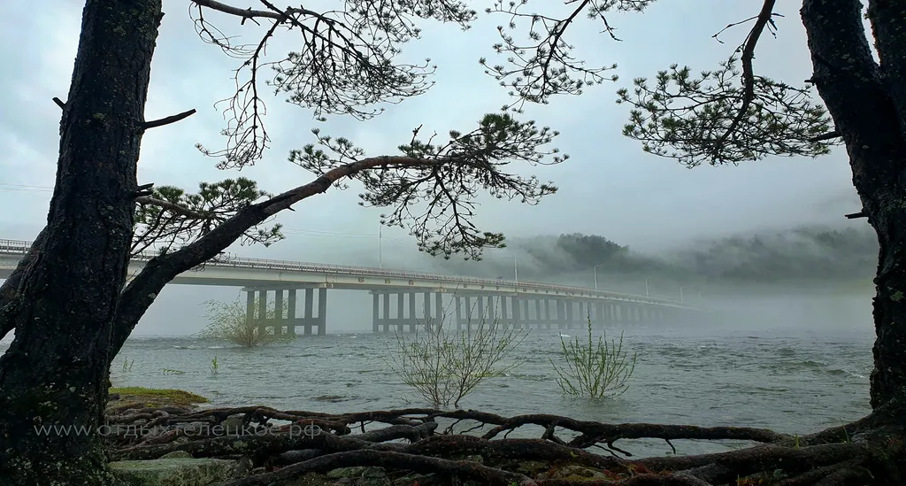 Отдых Телецкое