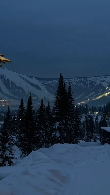 Новый дом #2
Woodland_gesh