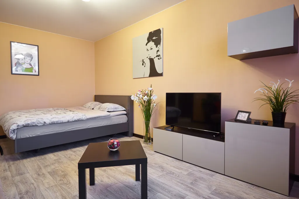 Квартира Двухкомнатные апартаменты в центре города — аренда посуточно в Дзержинск