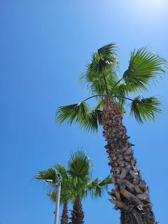 Квартира Уютная двухуровневая квартира-студия в районе Сириус, Адлер, Сочи — Сириус