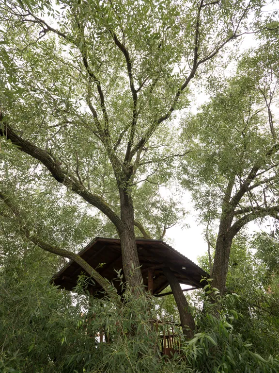 Дом для Души