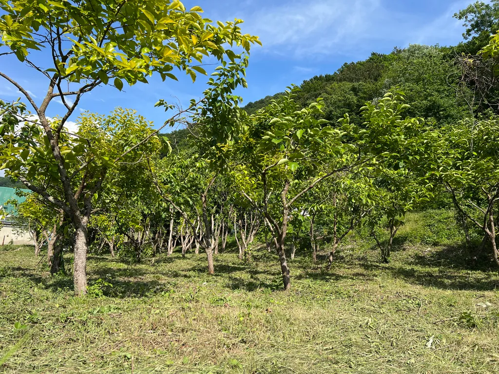 4-комнатный Дом