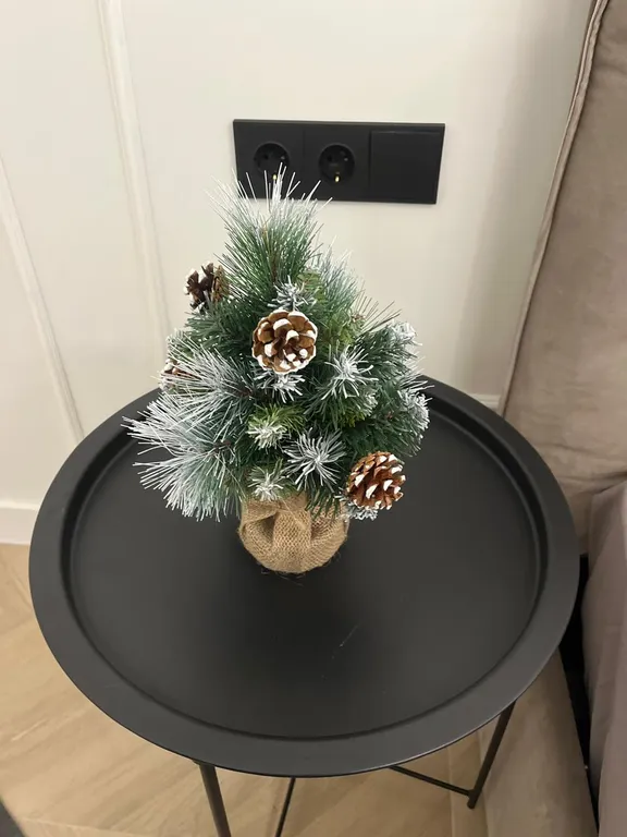 Квартира Уютная квартира с террасой — Светлогорск