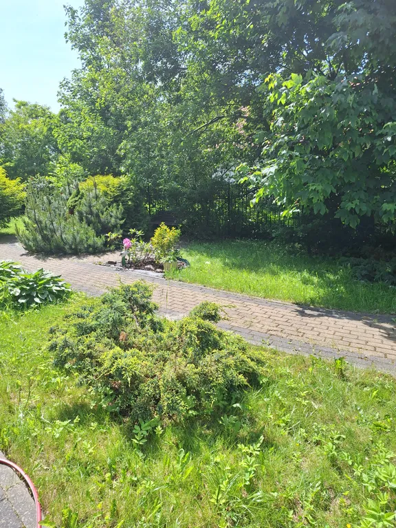 Просторные апартаменты