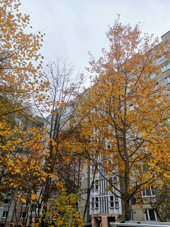 Квартира Квартира в Калининграде на Гайдара — Калининград