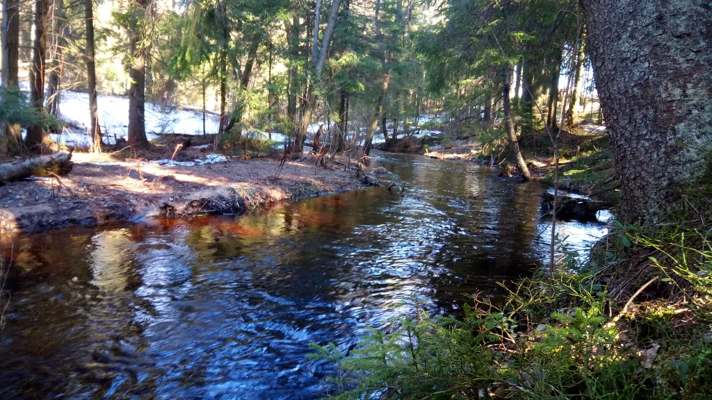 Коттедж Коттедж Сапфир с теплым бассейном и баней — Агалатово