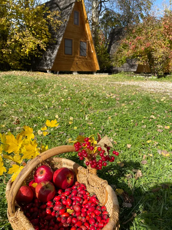 Гостевой дом Теремки у реки