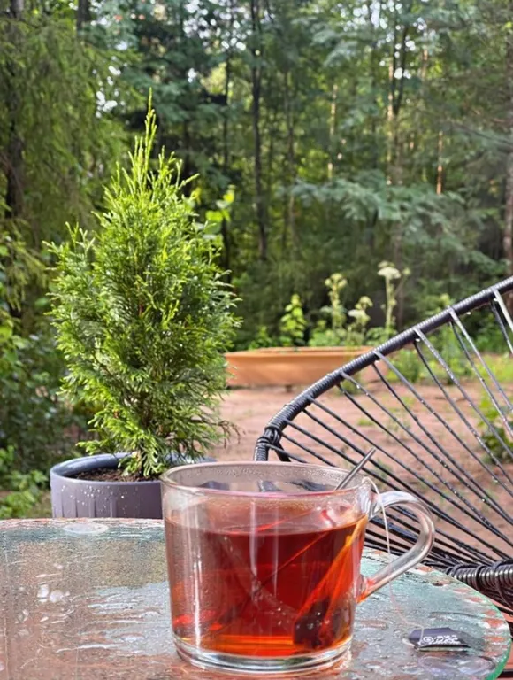 Дом A-frame с купелью, баней и бассейном в сосновом лесу