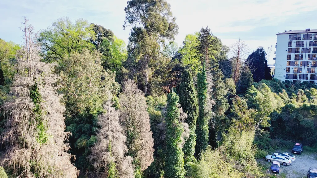 Квартира Квартира Современная студия — Сириус