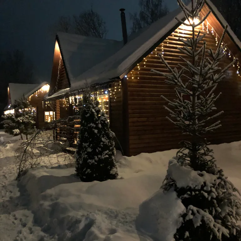 Уютный домик у леса с камином и сауной.