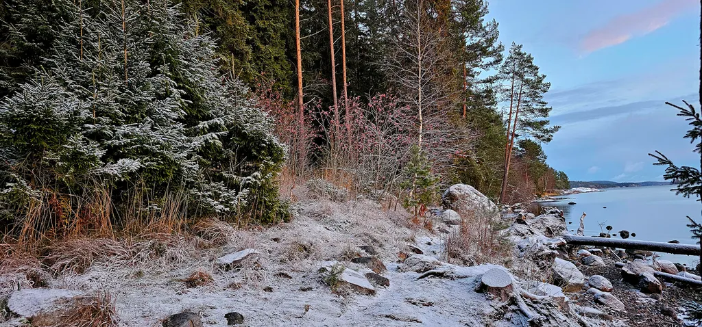 Лесной островок - дом в тихом уютном месте Карелии