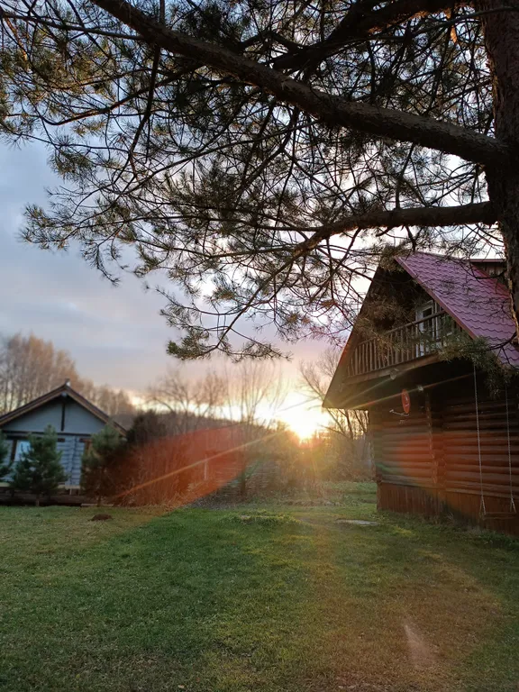 Эко-домики с русской баней Медвежье Урочище