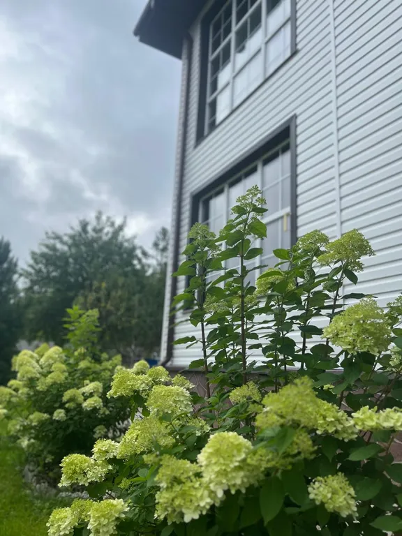 Коттедж оберег в дали от шума и суеты