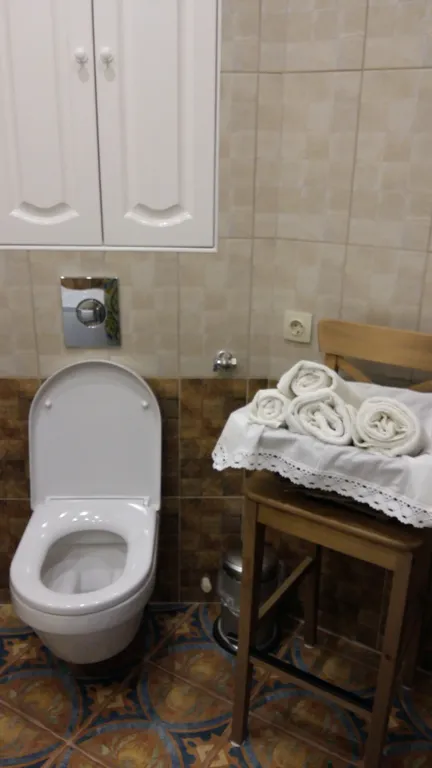 Квартира 1-комнатная Квартира — Луга