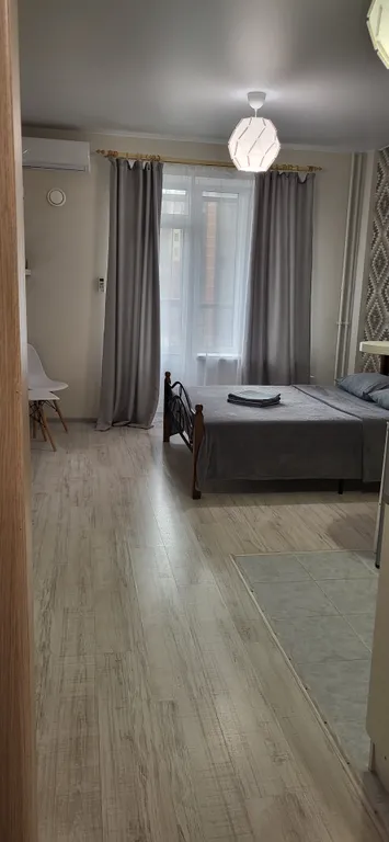 Уютная студия у реки, до Псковского Кремля 20 минут на транспорте