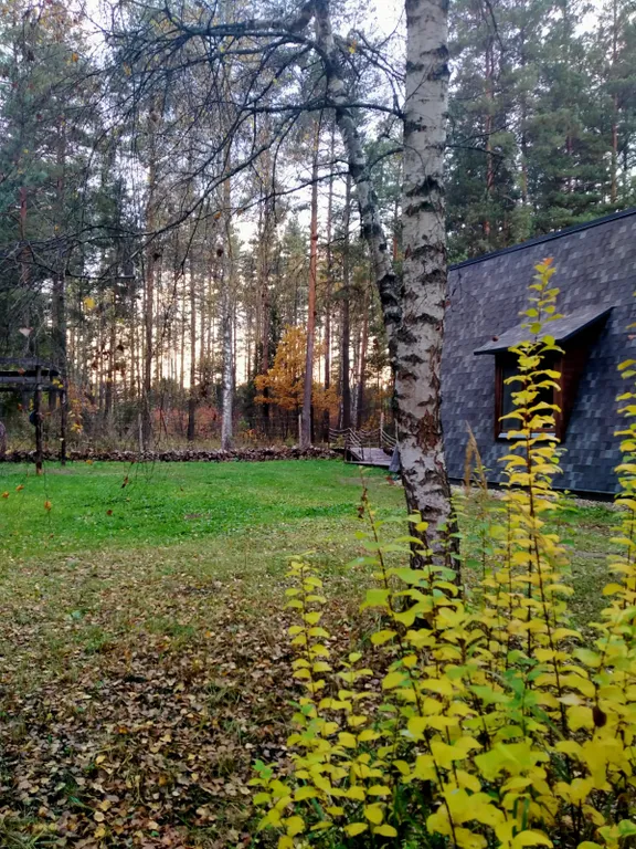 Уютный домик с видом на лес