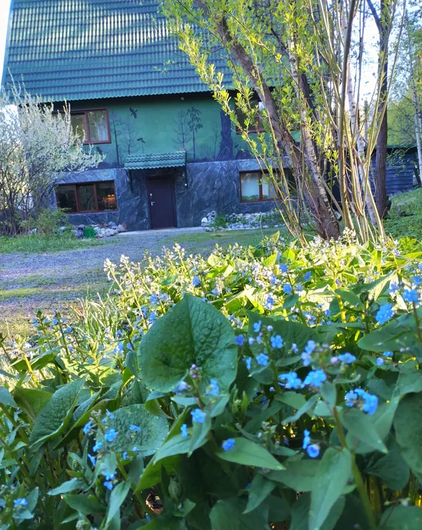 Дом в сосновом лесу