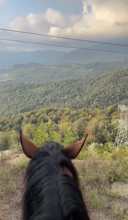 Коттедж для большой семьи