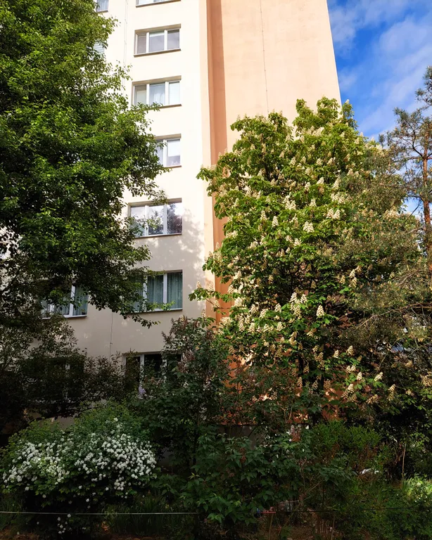 Комфортные и романтичные апартаменты в центре