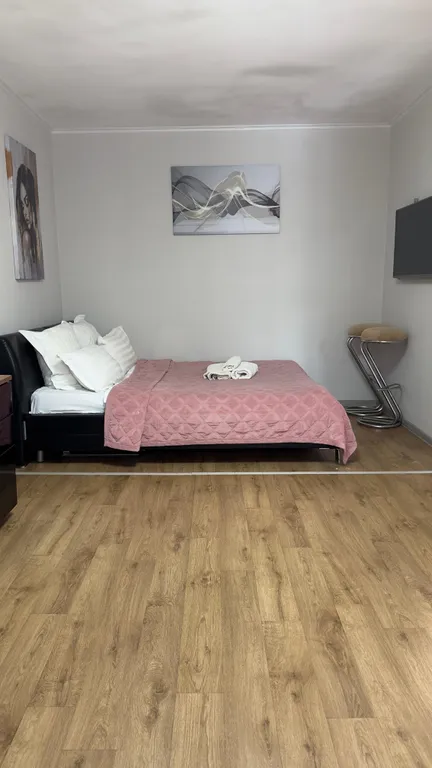 Квартира Комфортная однушечка в районе Горного воздуха — аренда посуточно в Южно-Сахалинск