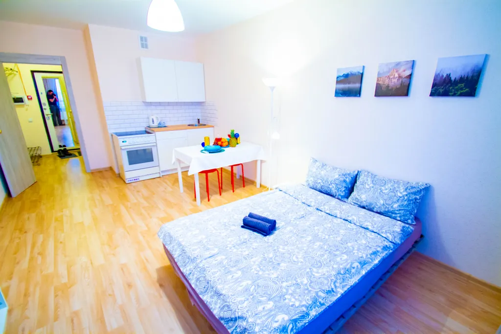 Уютная квартира-студия