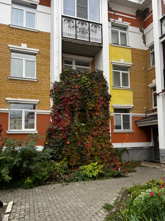 Лоза, центр, тишина