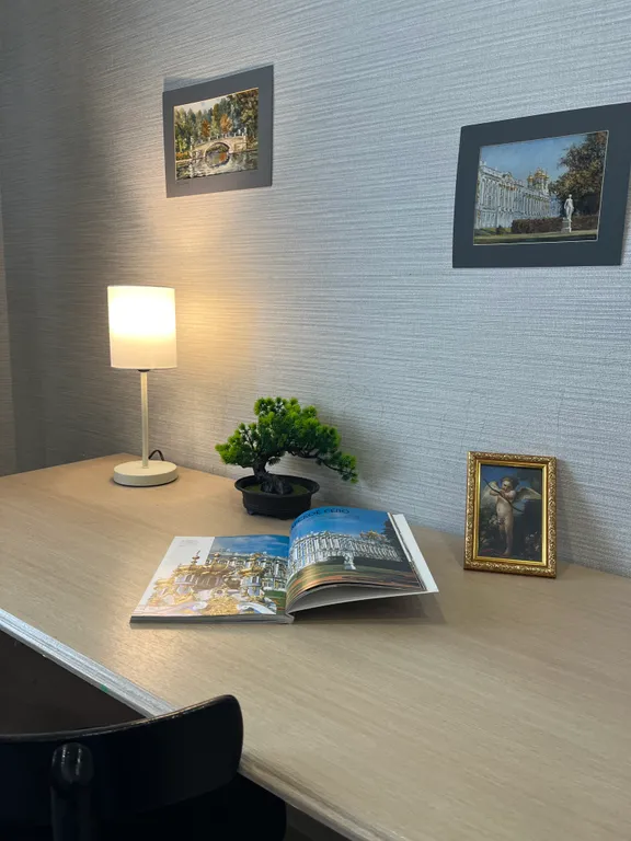 Квартира Просторная тихая квартира рядом с Павловским парком — Пушкин