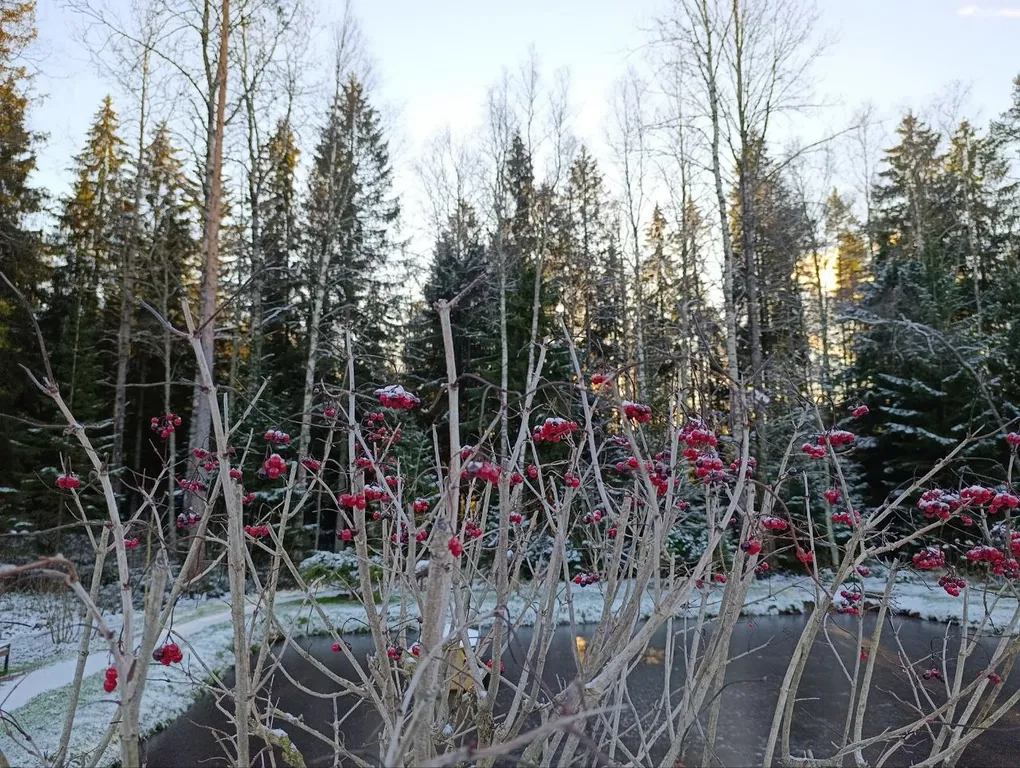 Дом с сауной у озера