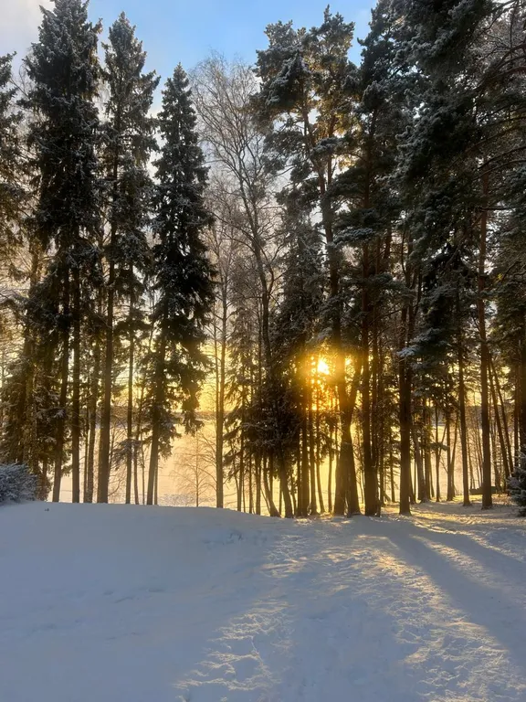 Dacha-vibe дом Грушенька