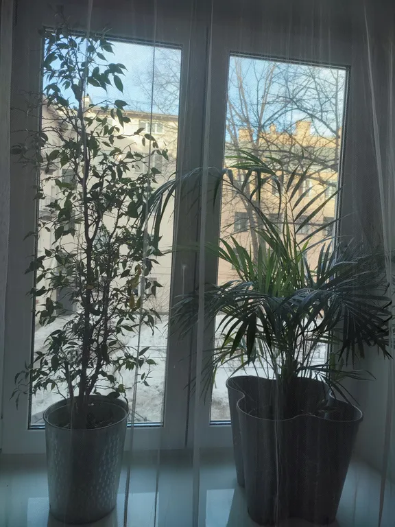 Огонь-квартира 45 м² на Гороховой
