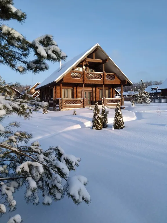 Боровики Хаус дом с камином