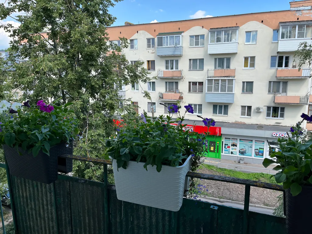 Грин Дрим (Green dream), уютная, душевная квартира в центре города