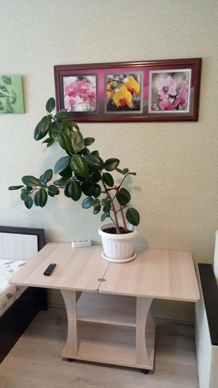 Уютная двухкомнатная квартира