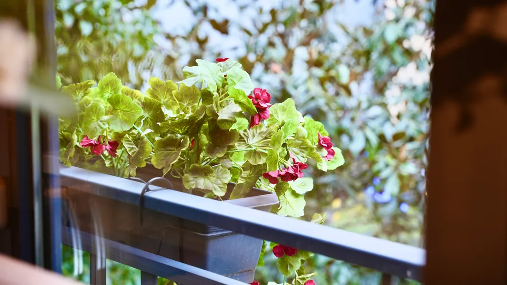 Уютная квартира в центре Стамбула