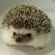 Евгений