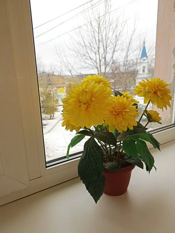 Квартира в центре