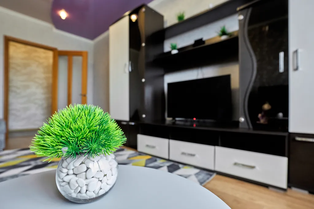 Двухкомнатная квартира с красивым видом из окна