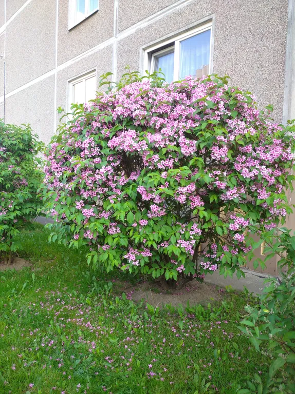 Уютная  большая 3- комнатная квартира рядом с центром