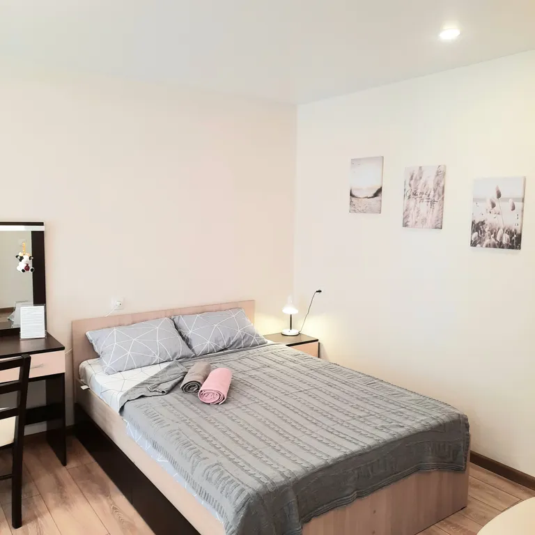 Уютная, безупречно чистая квартира в центре города — аренда посуточно в Киров