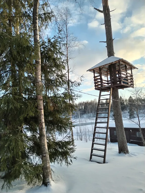 Коттедж Рябиновый домик с видом на лес и реку — Агалатово