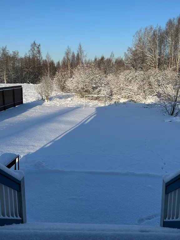 Коттедж Дом у леса с баней и чаном — Санкт-Петербург
