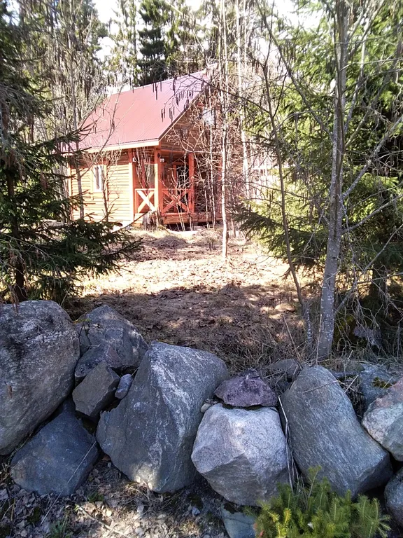 Домик у леса